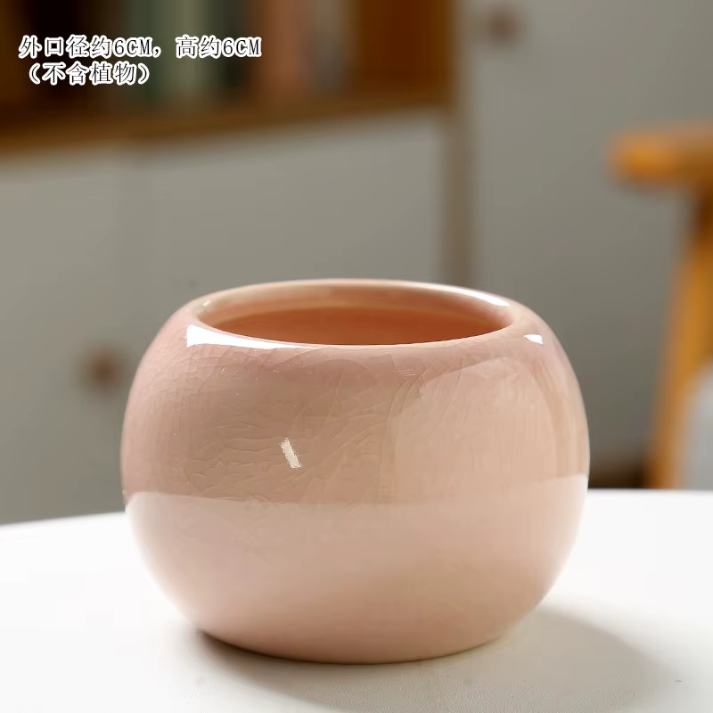 Pot de fleurs succulentes avec fissures glacées, Design de dessin animé petit et mignon, décoration
