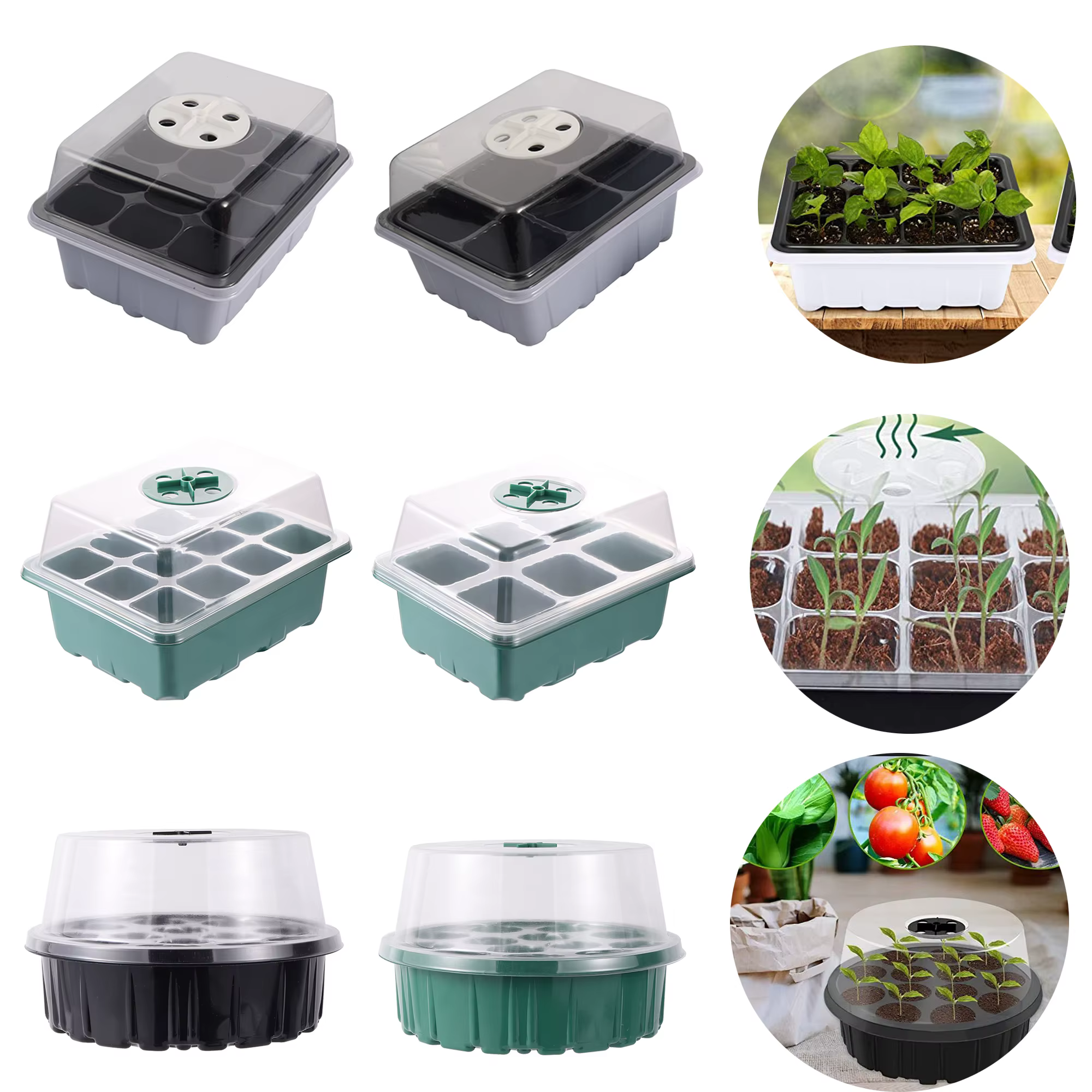 Boîte de Germination de Ventilation à grille 6/12/13, avec trou de Ventilation, boîte de plantation 