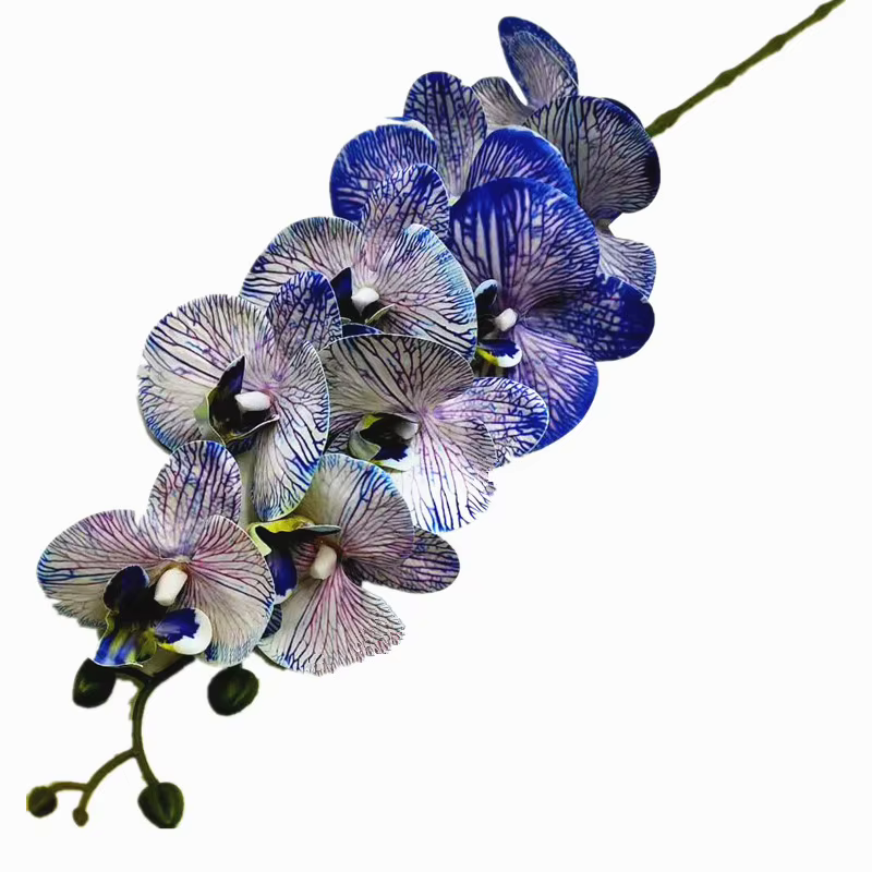 Fleur d'orchidée papillon en latex, 9 têtes, Phalaenopsis artificiel au toucher réel