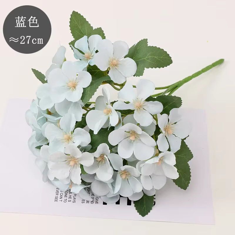Bégonia fleur fleur sèche gaufrage plante spécimen fleurs séchées gaufrage botanique spécimen bricol