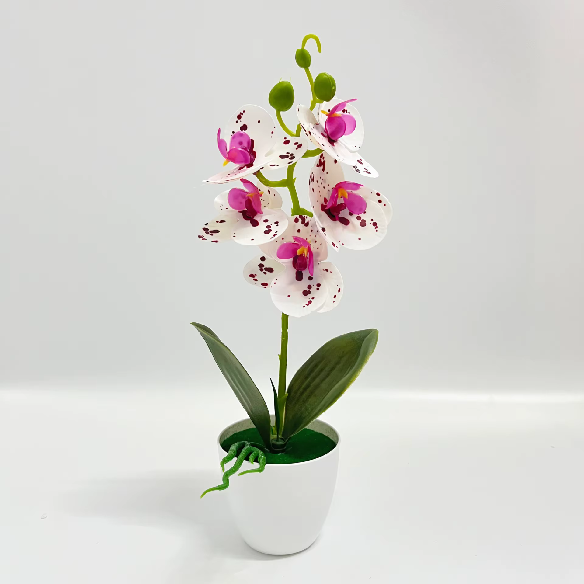 Plantes en pot d'orchidées papillon à 5 fleurs, bonsaï de plante verte de haute qualité et réaliste,