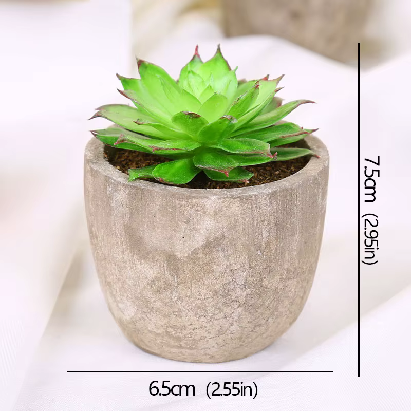 Mini plantes succulentes artificielles à feuilles persistantes, petites plantes en Pot d'arbre simul