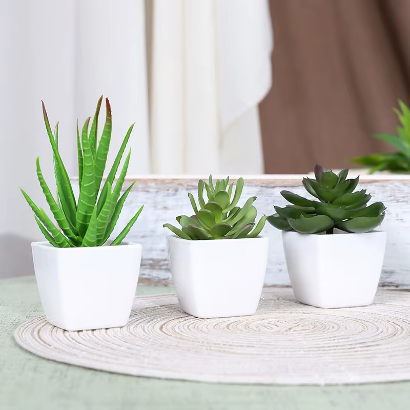 1 ensemble de bonsaï de plantes artificielles à feuilles persistantes, adapté à la maison, au Restau