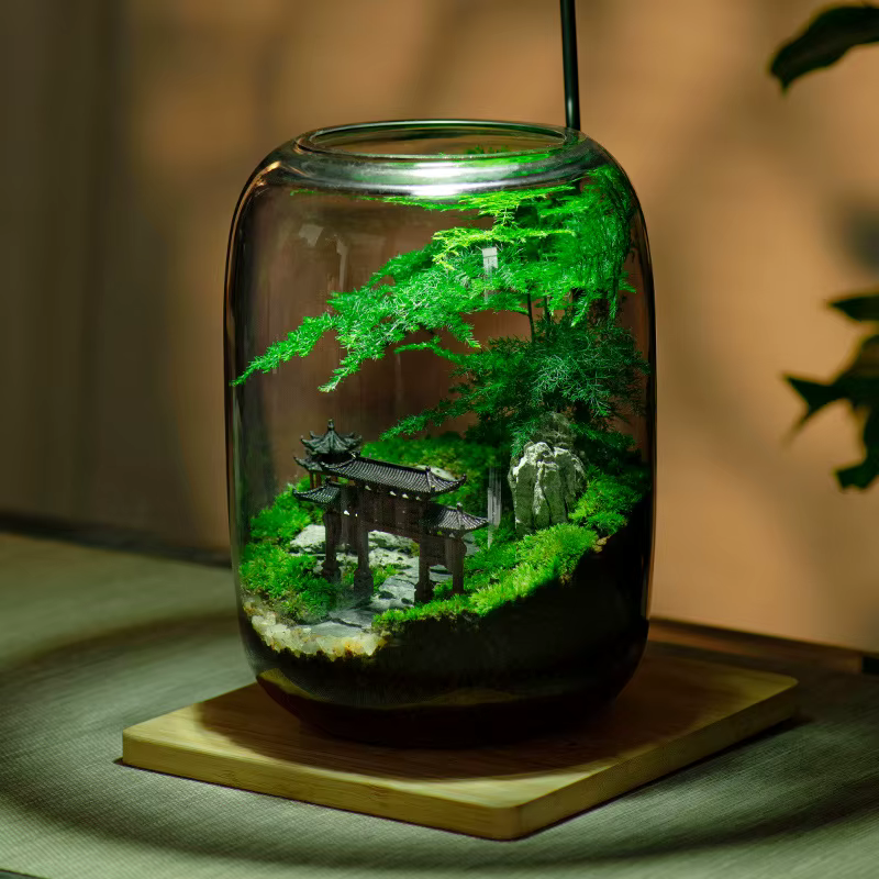 Kit de terrarium en fibre végétale de qualité supérieure avec conception de sol de style campagnard 