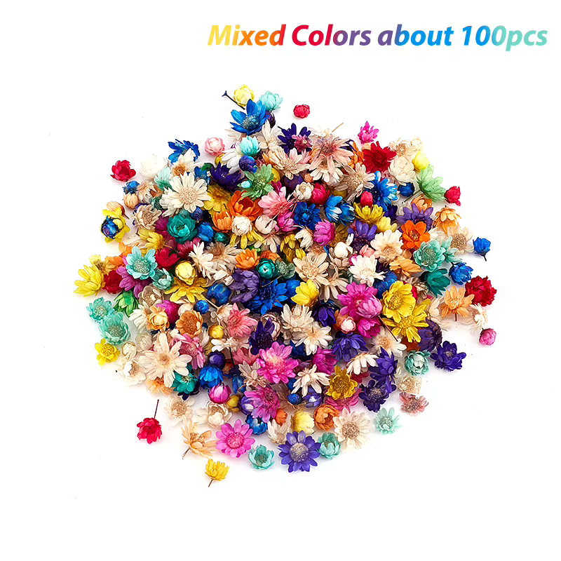 Fleurs séchées pour élection, résine xy, bricolage, artisanat d'art, bougie, bijoux, couvercle en ve