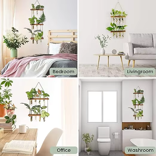 Tube à essai mural, Vase pour plantes de jardinière en verre avec support en bois et corde à cordes,