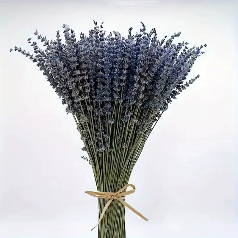 Mèches de fleurs de lavande séchées naturelles, 50/100g, pour décoration de fête de mariage, aromath