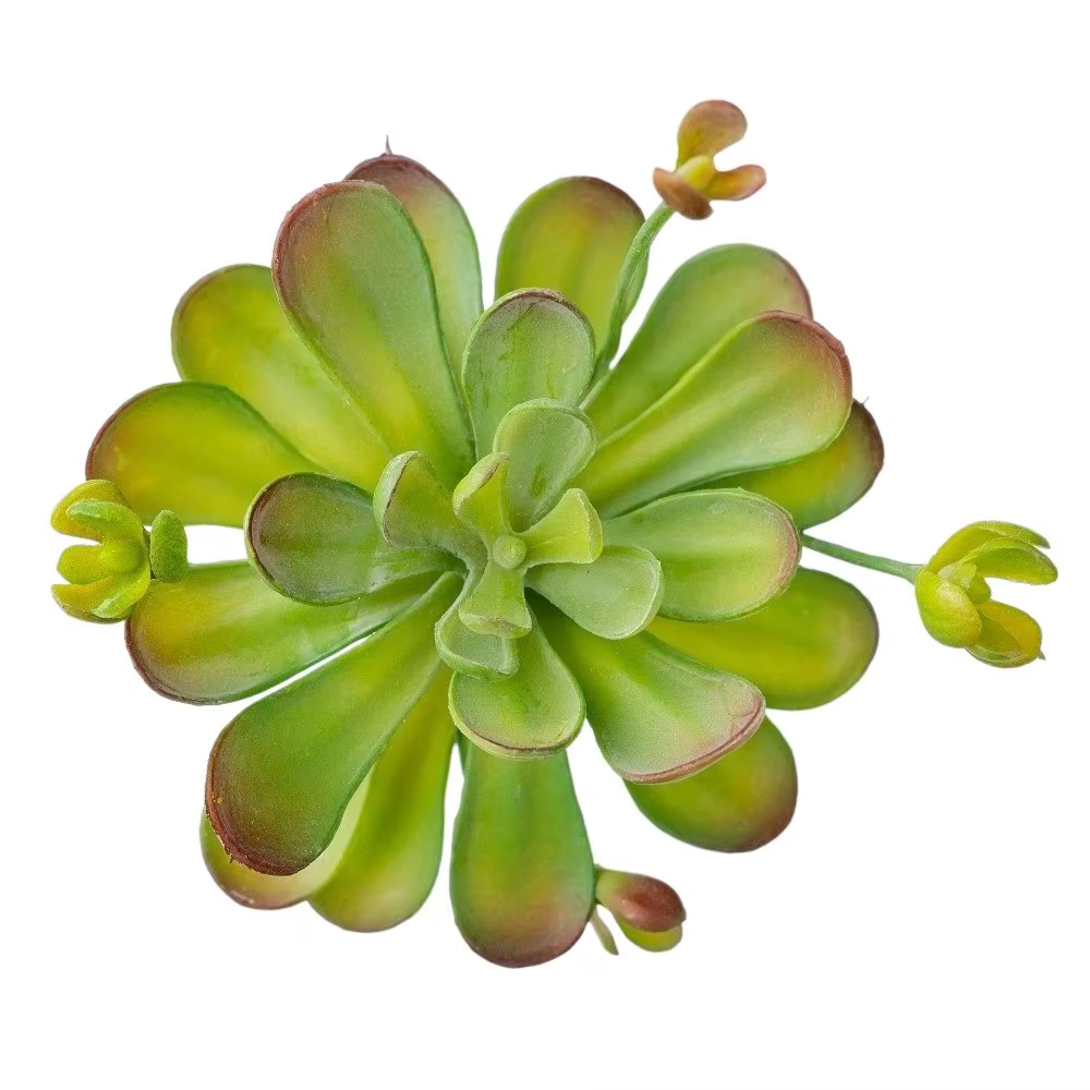 Plante succulente artificielle réaliste au toucher authentique, faux cactus en plastique, simulation