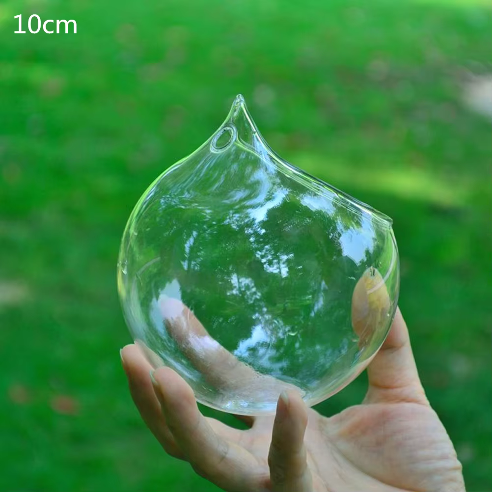 Boule suspendue créative en verre transparent, pot de fleurs, décor de jardin de bureau, Vase de jar