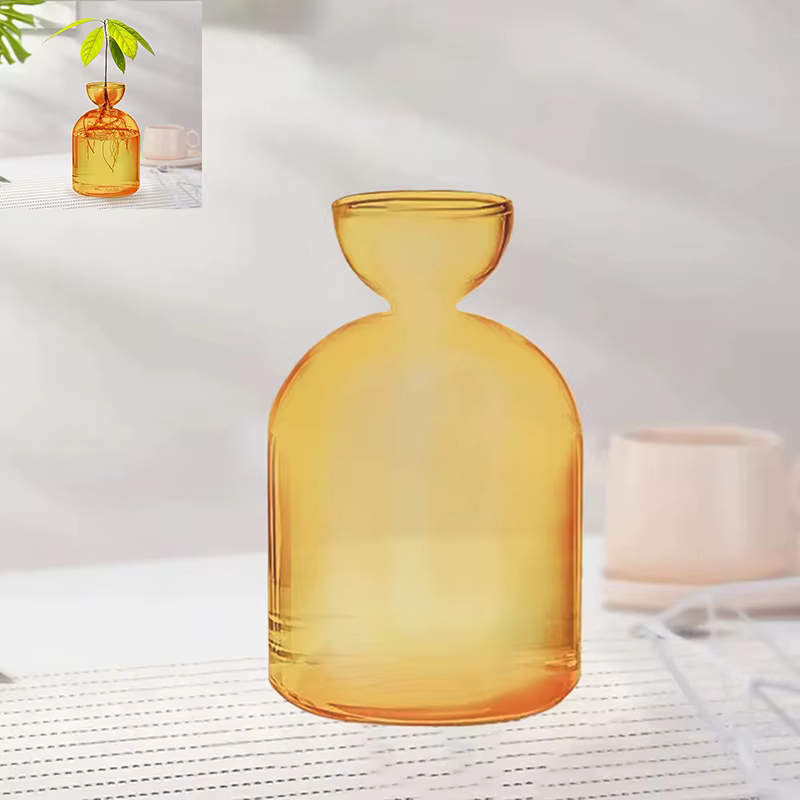 Vase hydroponique Transparent coloré d'avocat, Vase de démarrage de graines d'avocat en verre, Kit d