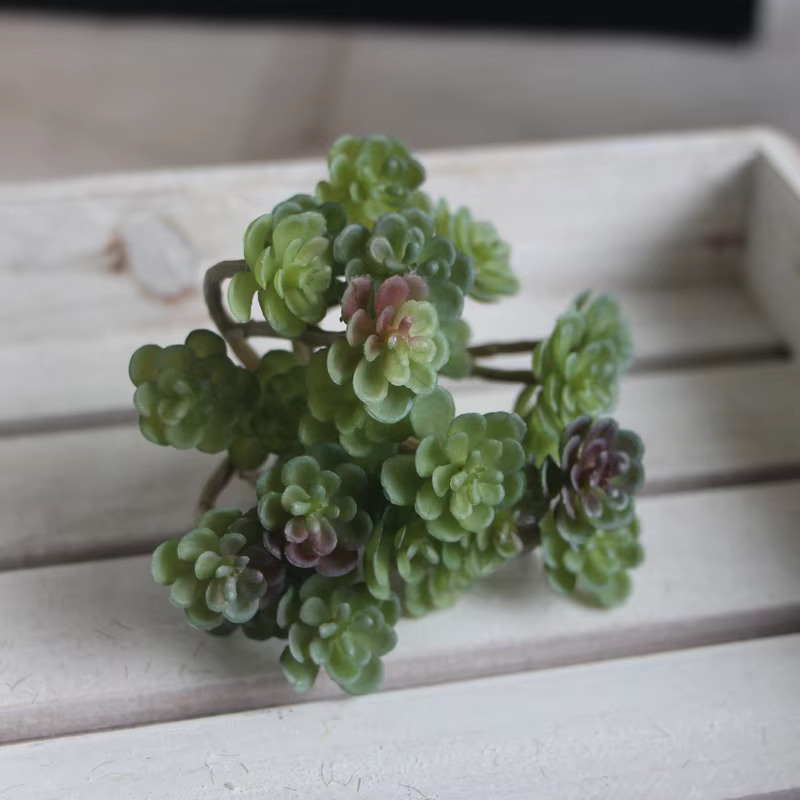 Plante succulente artificielle simulée, mini fleur artificielle, décoration de table de bureau à dom