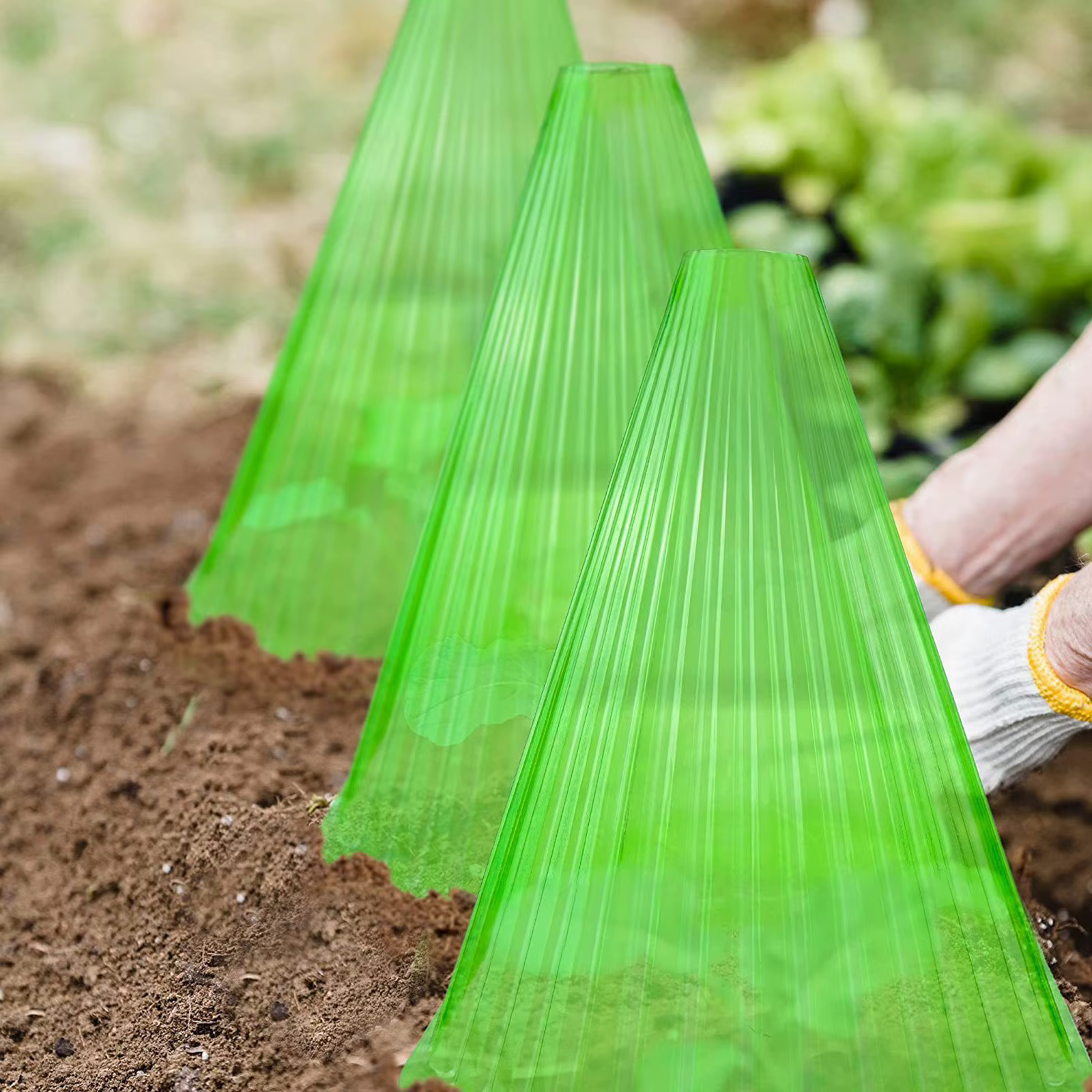 Cloche de plantes vertes, 30 pièces, couvertures avec évent, dôme d'humidité réutilisable pour intér