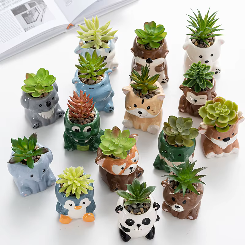 Pot de fleurs charnu mignon de dessin animé Amazon, affichage de bureau le plus vendu, conteneur en 