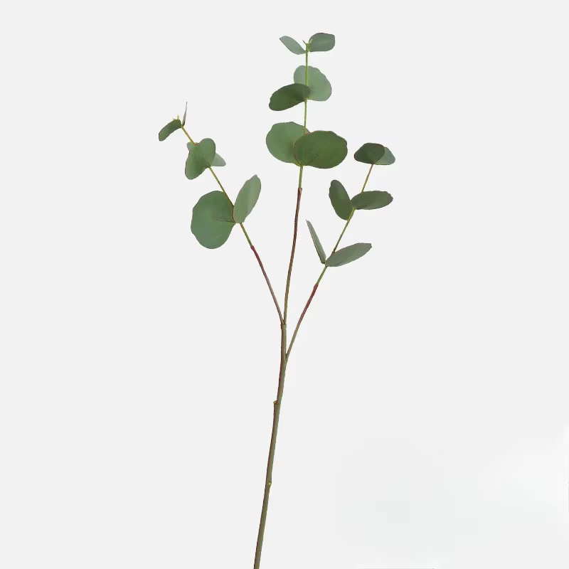 Feuilles d'eucalyptus artificielles pour la décoration de la maison, plantes vertes, feuilles à doub