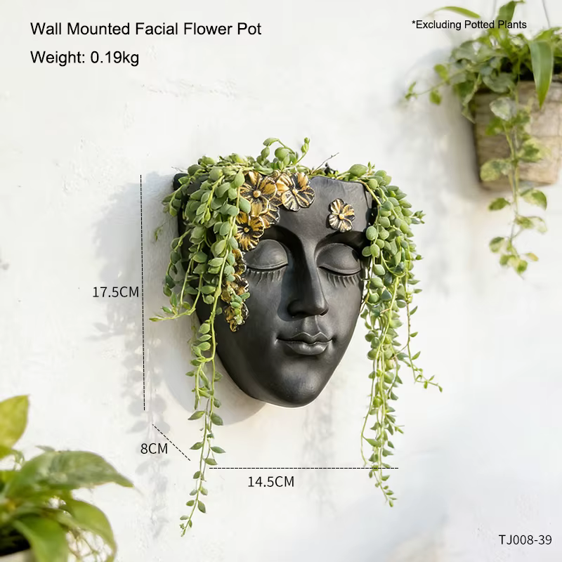 Pot de fleurs mural créatif en forme de visage, décoration murale artistique, idéal pour l'agencemen