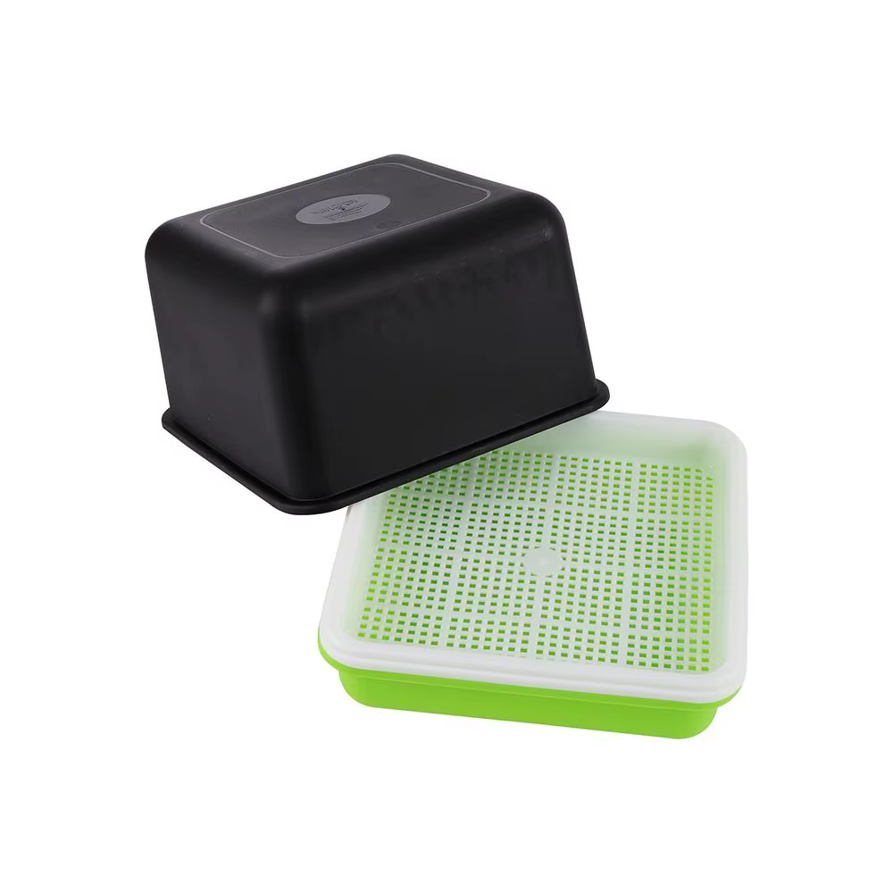 Plateau de culture hydroponique pour semis d'ail, culture sans sol, bac de germination, pot de germi