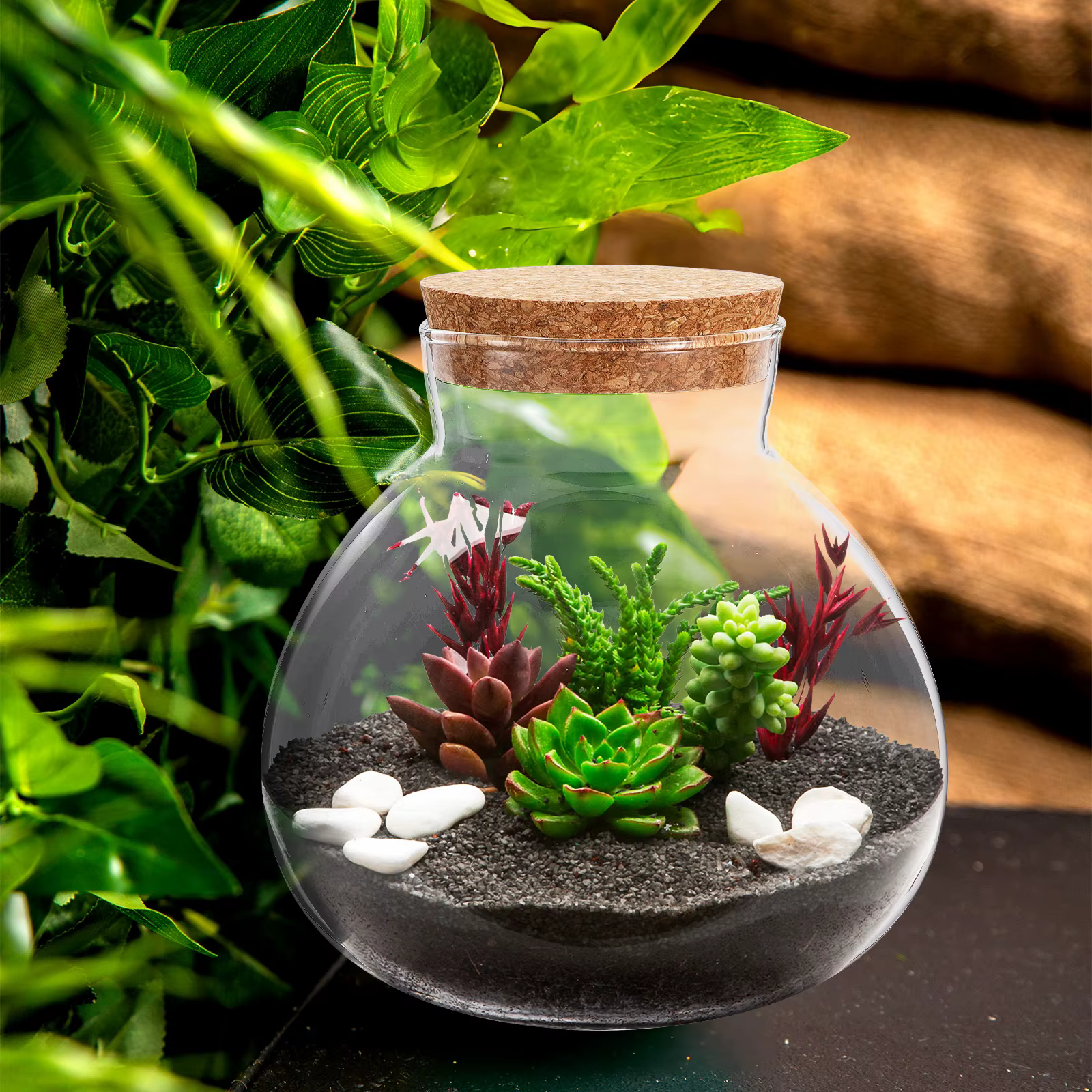 Bouteille écologique 15Cm X 16Cm, pot rond en verre pour Terrarium, Surface lisse, récipient de pays