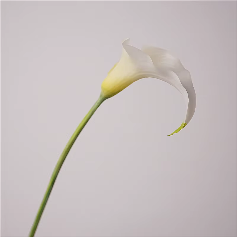 Fleur de lys Calla artificielle en Latex, 5 pièces, fleurs au toucher réel, Bouquet de décoration de