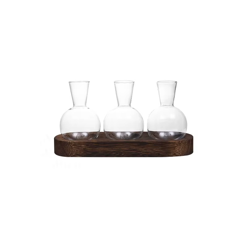 Vase en verre pour Terrarium de plantes, moderne et Transparent avec plateau en bois, Station de Pro