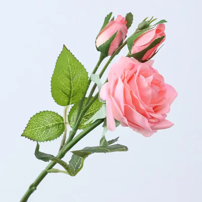 Aloès vert 3 pièces toucher réel 1 fleur 2 bourgeons branche de Rose fleurs artificielles Simulation