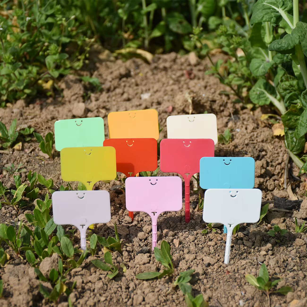 Étiquettes de plantes réutilisables et imperméables pour jardin, 30 à 100 pièces, étiquettes de sign