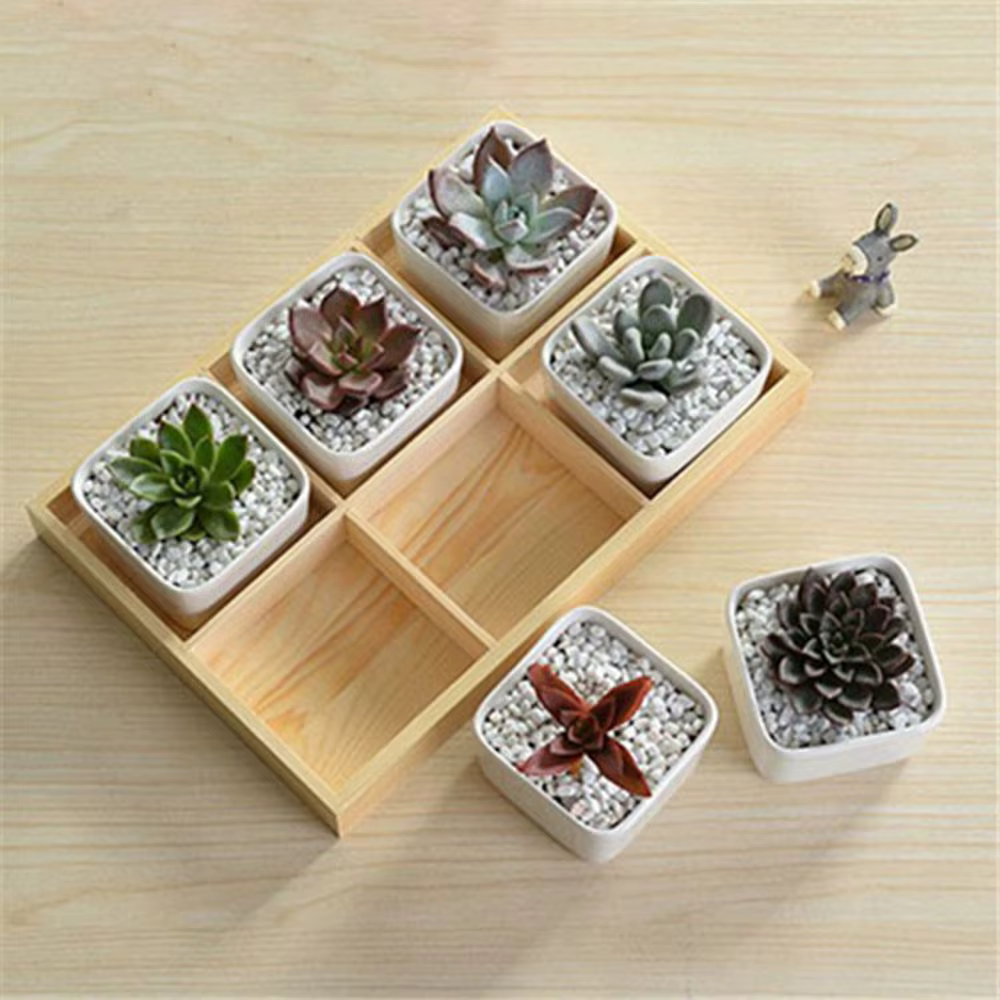 Boîte de rangement en bois pour pot de fleurs, support de bonsaï, présentoir à bijoux, palette de bu