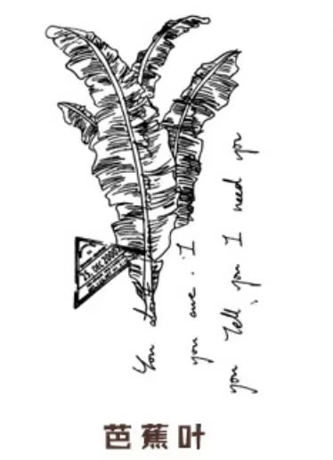 Tampons en bois DIY, motifs plantes et fleurs, pour scrapbooking, fabrication de cartes, journal cré