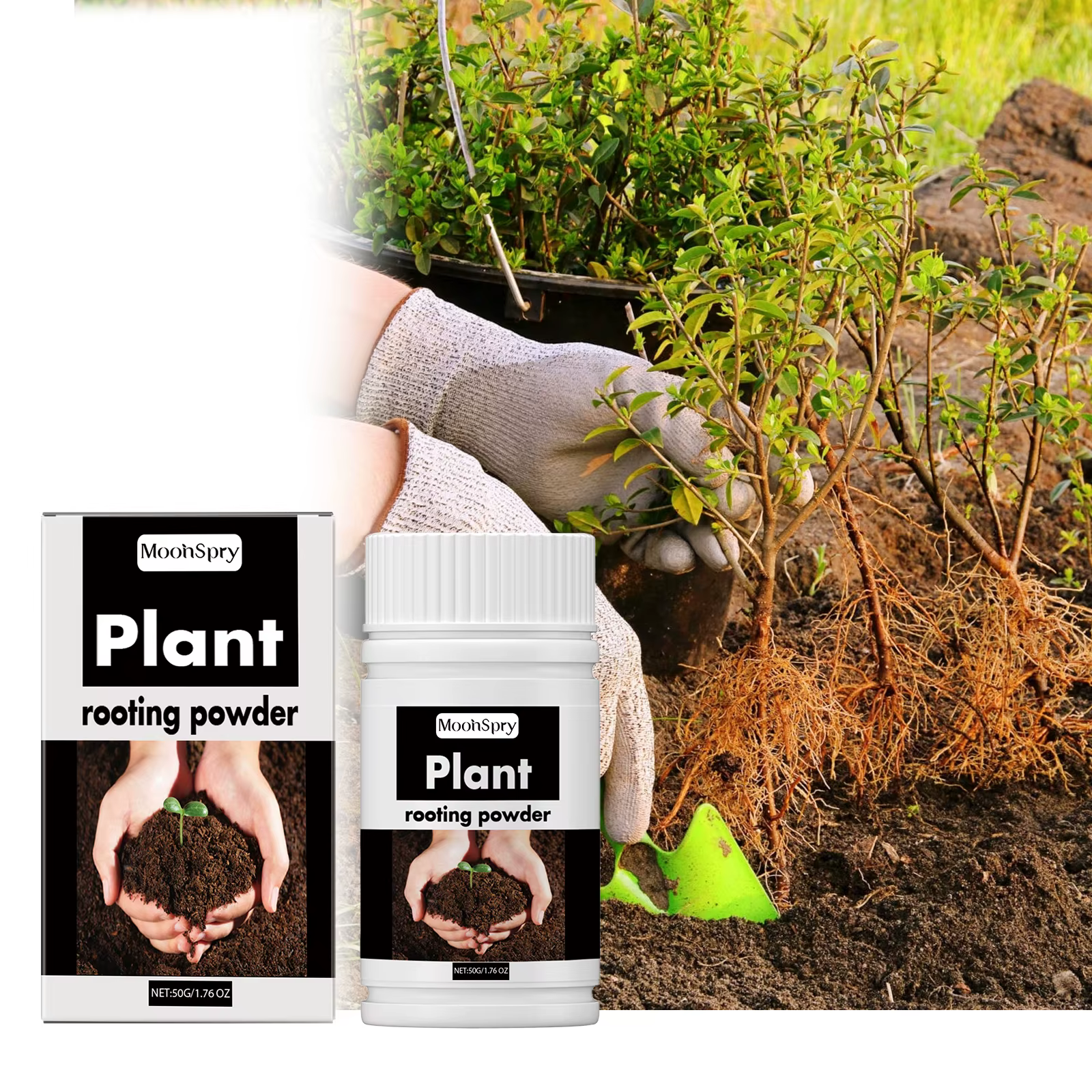 Poudre d'enracinement des plantes - Pour les boutures, la transplantation, tous les arbres et les ar