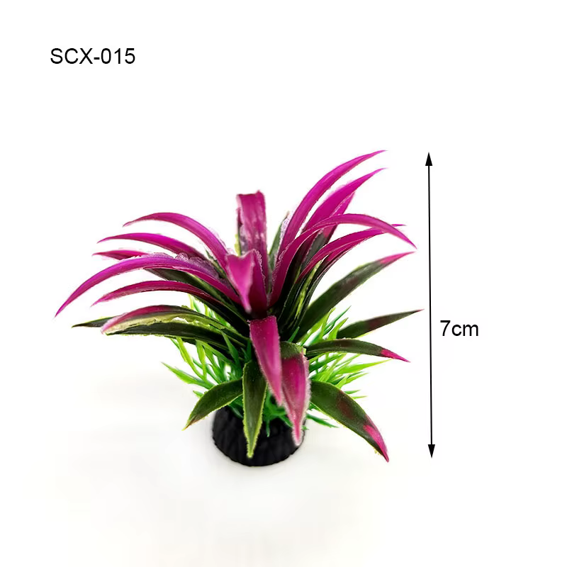 Plantes d'aquarium de petite taille, ornements d'aquarium, décor d'herbe d'eau, décoration d'aquariu