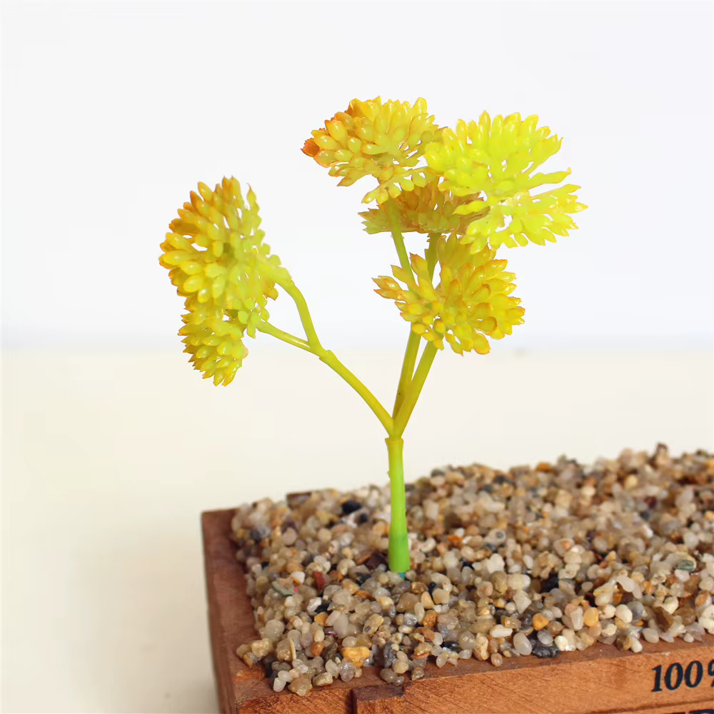 Mini plantes succulentes, hauteur = 13cm, jaune, bleu, violet, rouge, vert bricolage accessoires pou