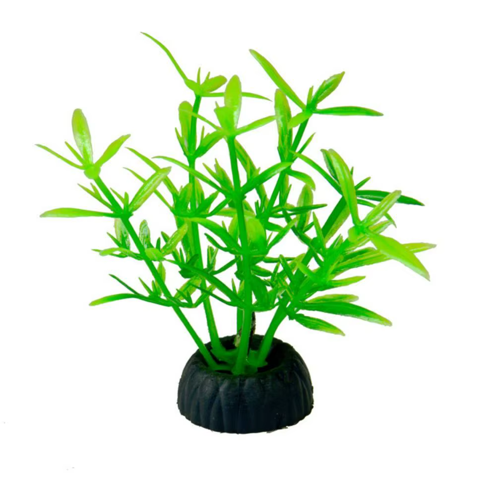 Plantes aquatiques artificielles décoratives, Mini Simulation de mauvaises herbes d'eau, ornement ré