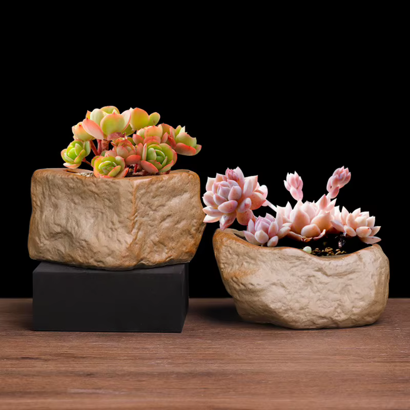 Pot Succulent en céramique résistant à l'usure en forme de pierre Cactus succulent Miniature bonsaï