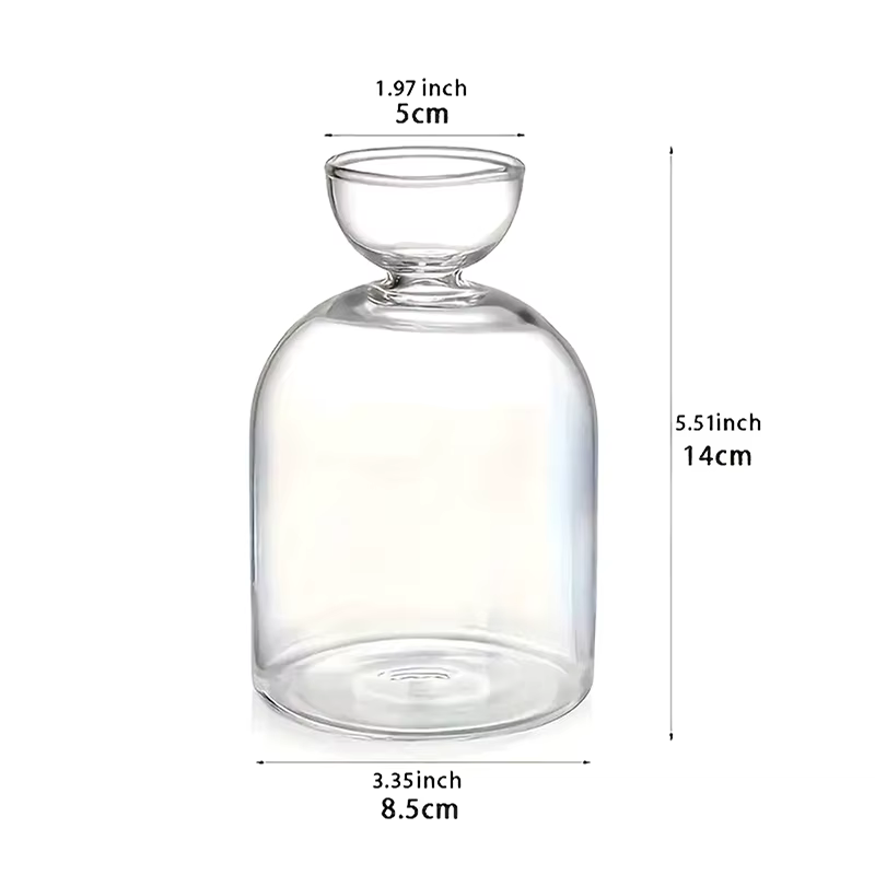 Vase de démarrage de graines d'avocat, Kit de culture de plantes en verre Transparent pour les amate
