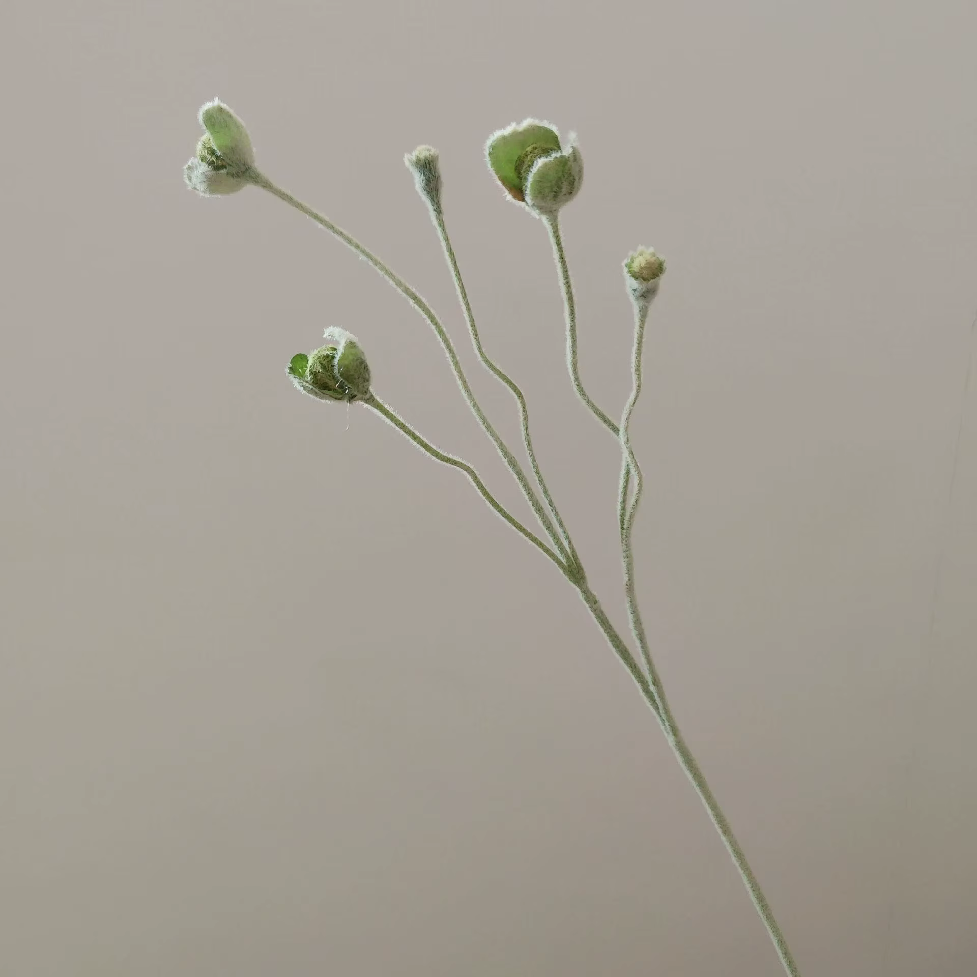 Branche de plantes vertes artificielles, décoration de maison, bricolage, Simulation d'arrangement f