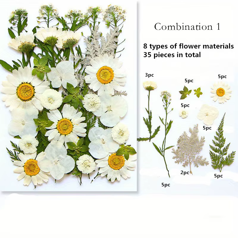 Fleurs pressées séchées pour moule en résine, vraies feuilles séchées pressées, ensemble en vrac pou