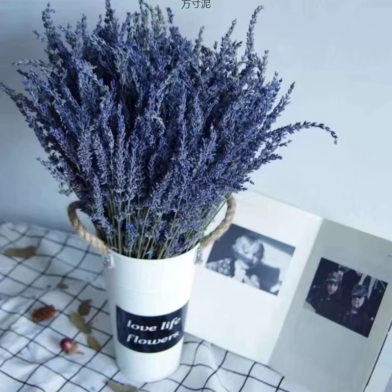 Mèches de fleurs de lavande séchées naturelles, 50/100g, pour décoration de fête de mariage, aromath
