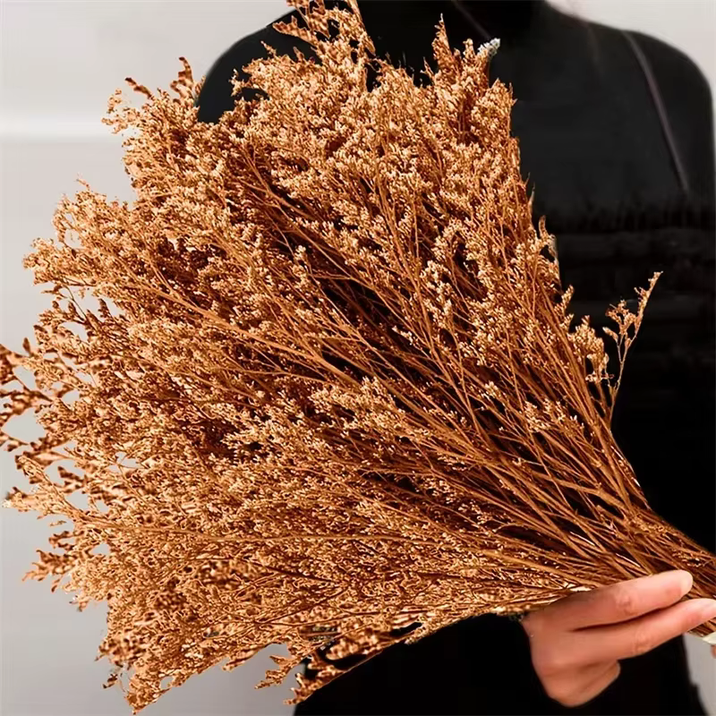 Bouquet d'herbe pour amoureux de la saint-valentin, fleurs naturelles conservées, plantes artificiel