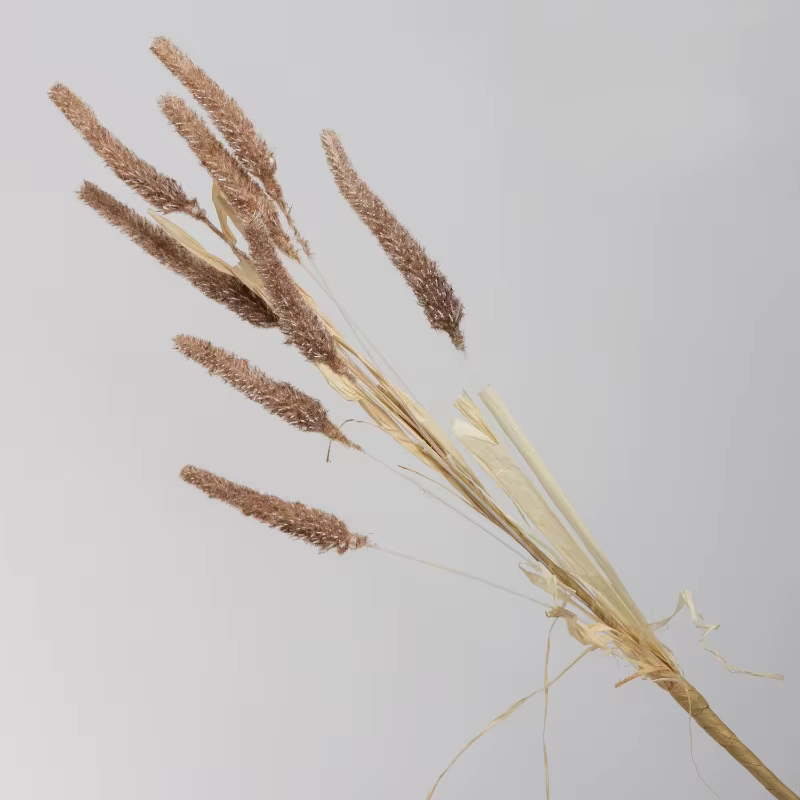 10 pièces de fleurs artificielles en plastique, plantes de roseaux à 9 têtes, décoration de restaura
