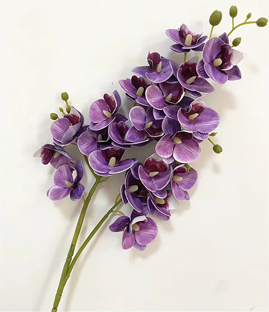 Fleurs d'orchidées papillon en Latex, 21 têtes, Mini orchidée Phalaenopsis artificielle au toucher r