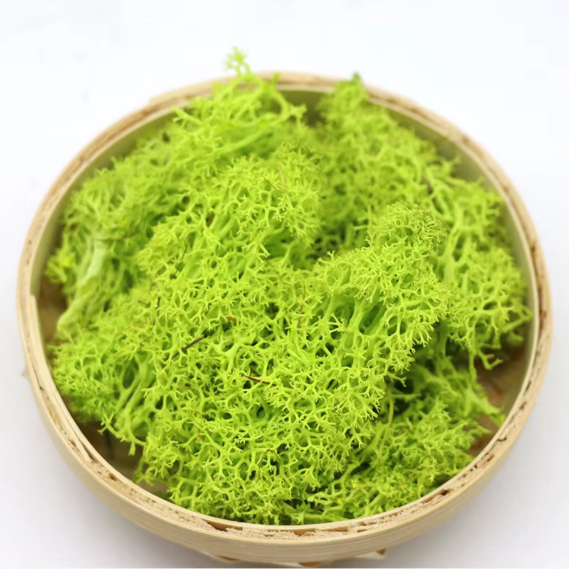 Plantes vertes artificielles, mousse éternelle 500/50g, fausse herbe, décoration de maison DIY, maté