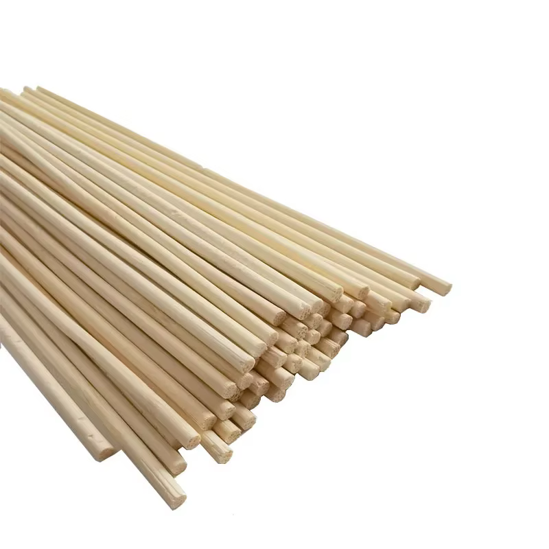 50 pièces bâtons de bambou plante de jardin Support fleur bâton canne outil de jardinage pour maison