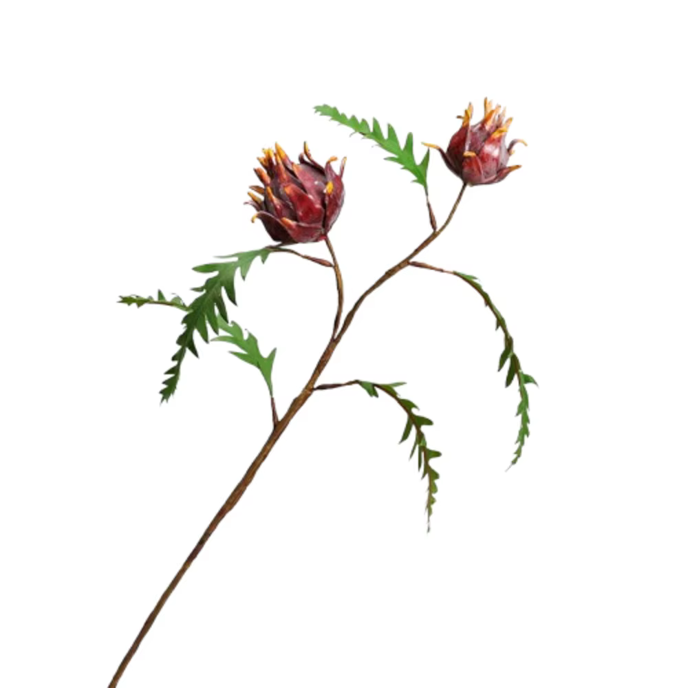 Fleur artificielle à 2 têtes, 59 cm, branche de Protea Cynaroides de luxe, fleurs artificielles réal