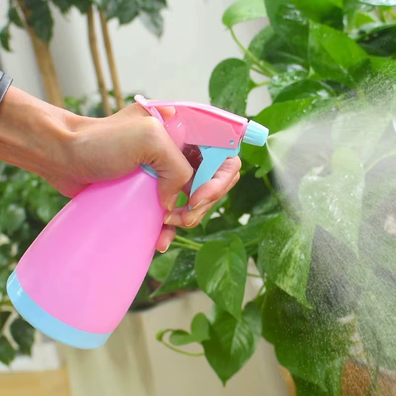 Bouteille de pulvérisation d'eau de 500ml, plantes de jardin, arrosage de fleurs, Irrigation domesti