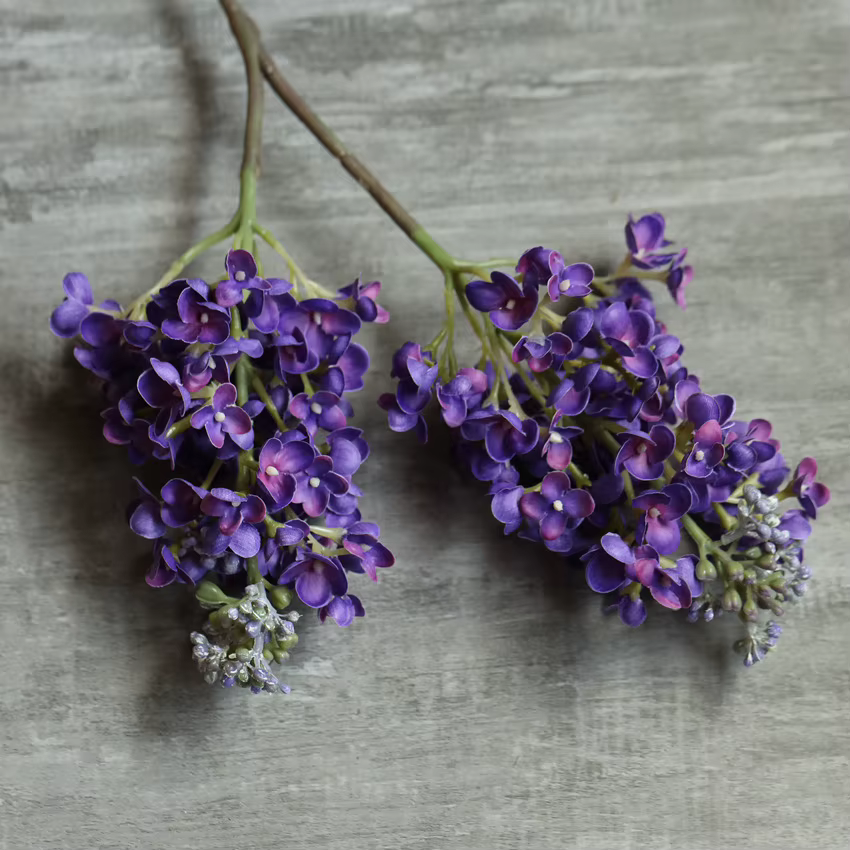 Fleurs artificielles en Latex lilas, 1 pièce, toucher réel, hydratant, décoration de Table pour la m
