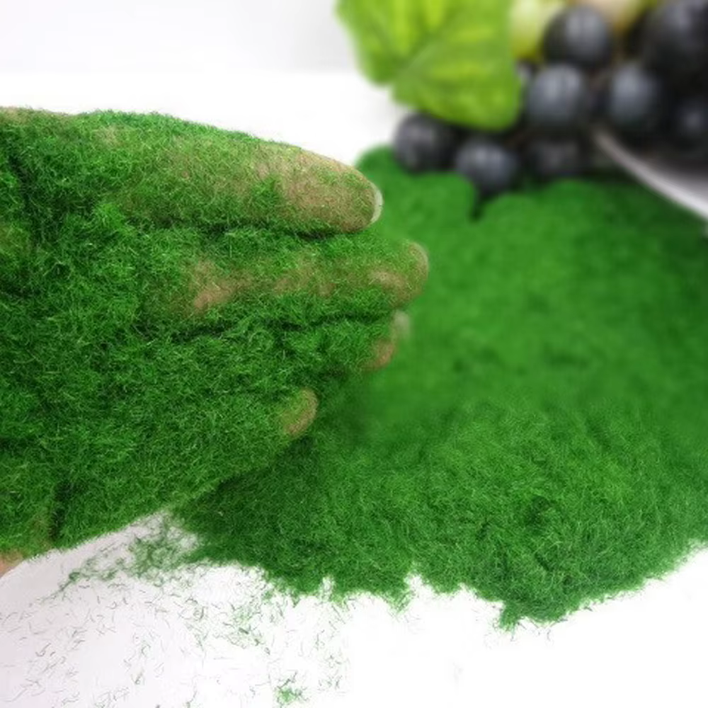 Poudre d'Enge Artificielle pour Décoration de Micro Paysage, Mousse Artificielle de Jeu de Bac à Sab