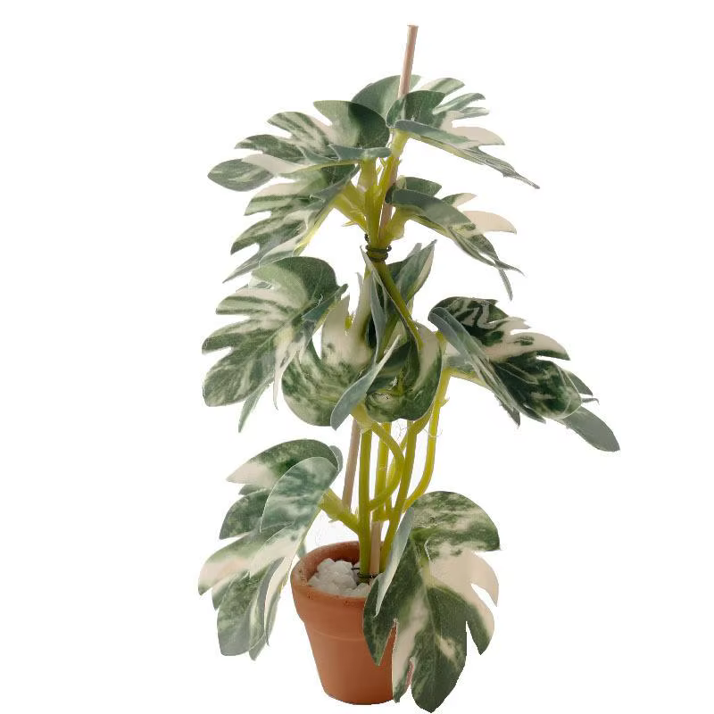 Modèle de plante verte bonsaï Miniature pour maison de poupée 1/12, parfait pour la scène paysagère