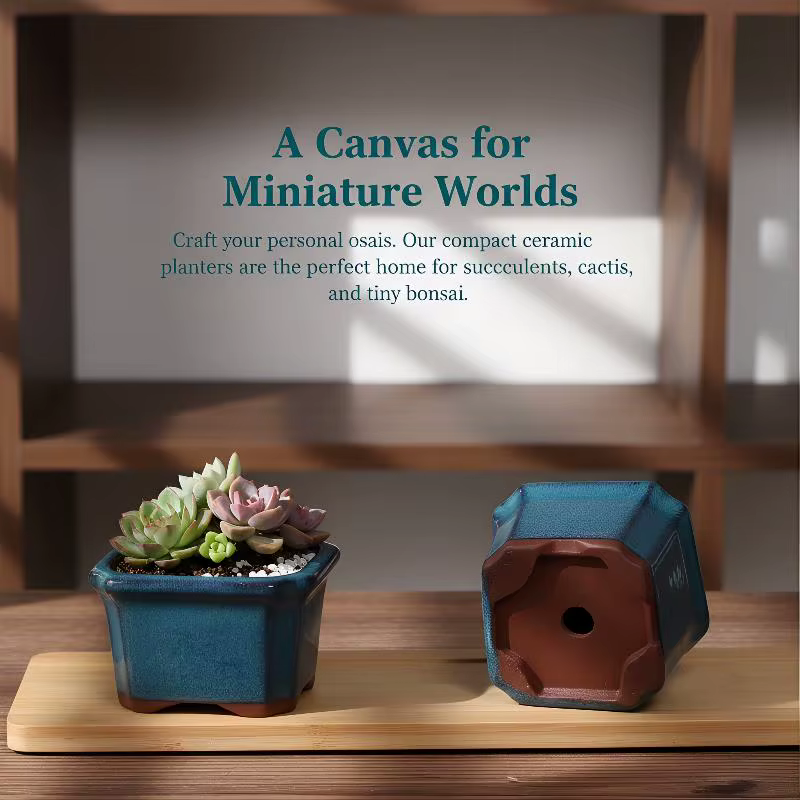 3 mini-pots de fleurs en céramique pour plantes succulentes, pots de pépinière, décoration intérieur