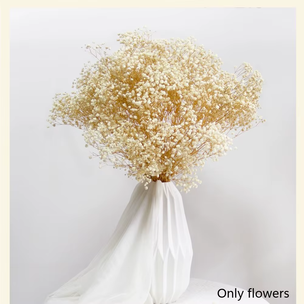 100g fleurs séchées souffle de bébé fleurs conservées Gypsophila Bouquet Boho décor à la maison colo