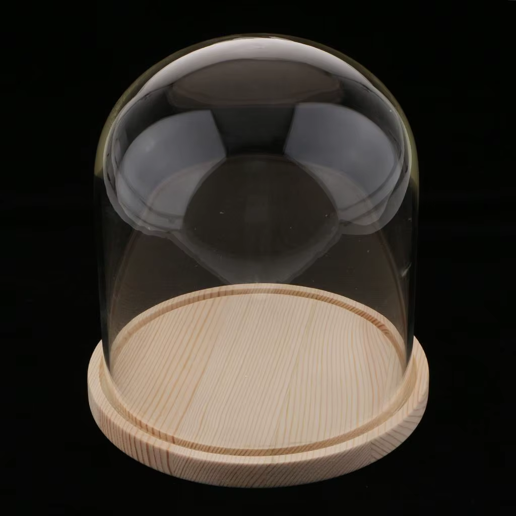 Pot en verre dôme avec Base en bois, Micro support de paysage, Vase de pièce maîtresse élégant pour 