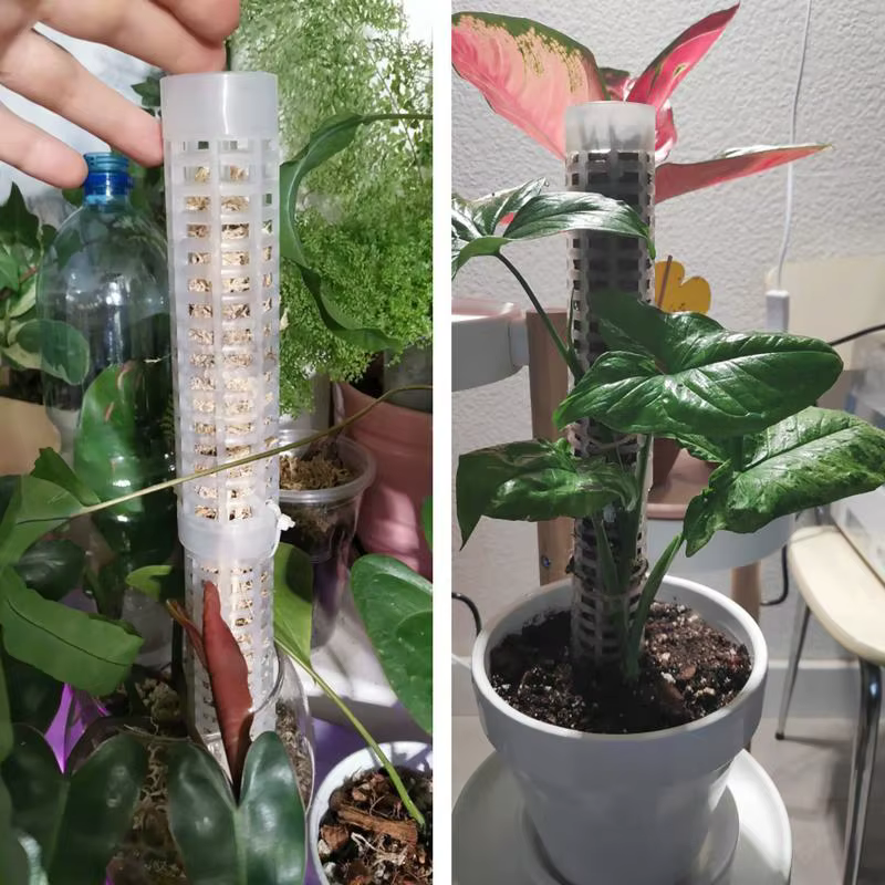 Nouveau lot de 6 supports en plastique pour plantes grimpantes d'intérieur, tutoriels de croissance 
